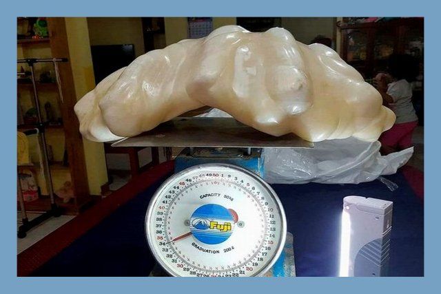 Largest Pearl in the world