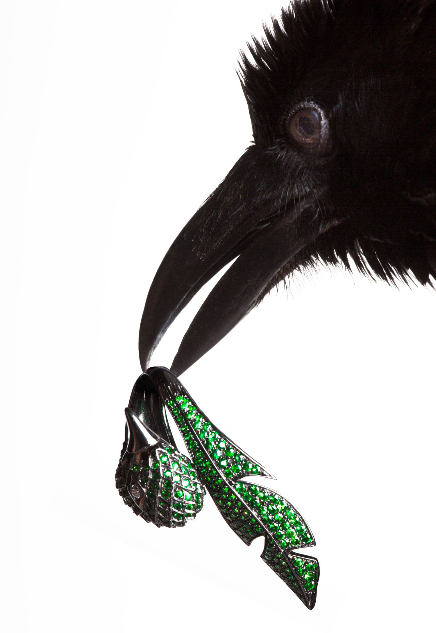 torkil gudnason animal jewelry bird