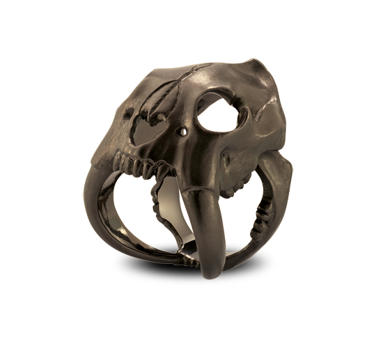 1Caveman Ring alpha SAP1