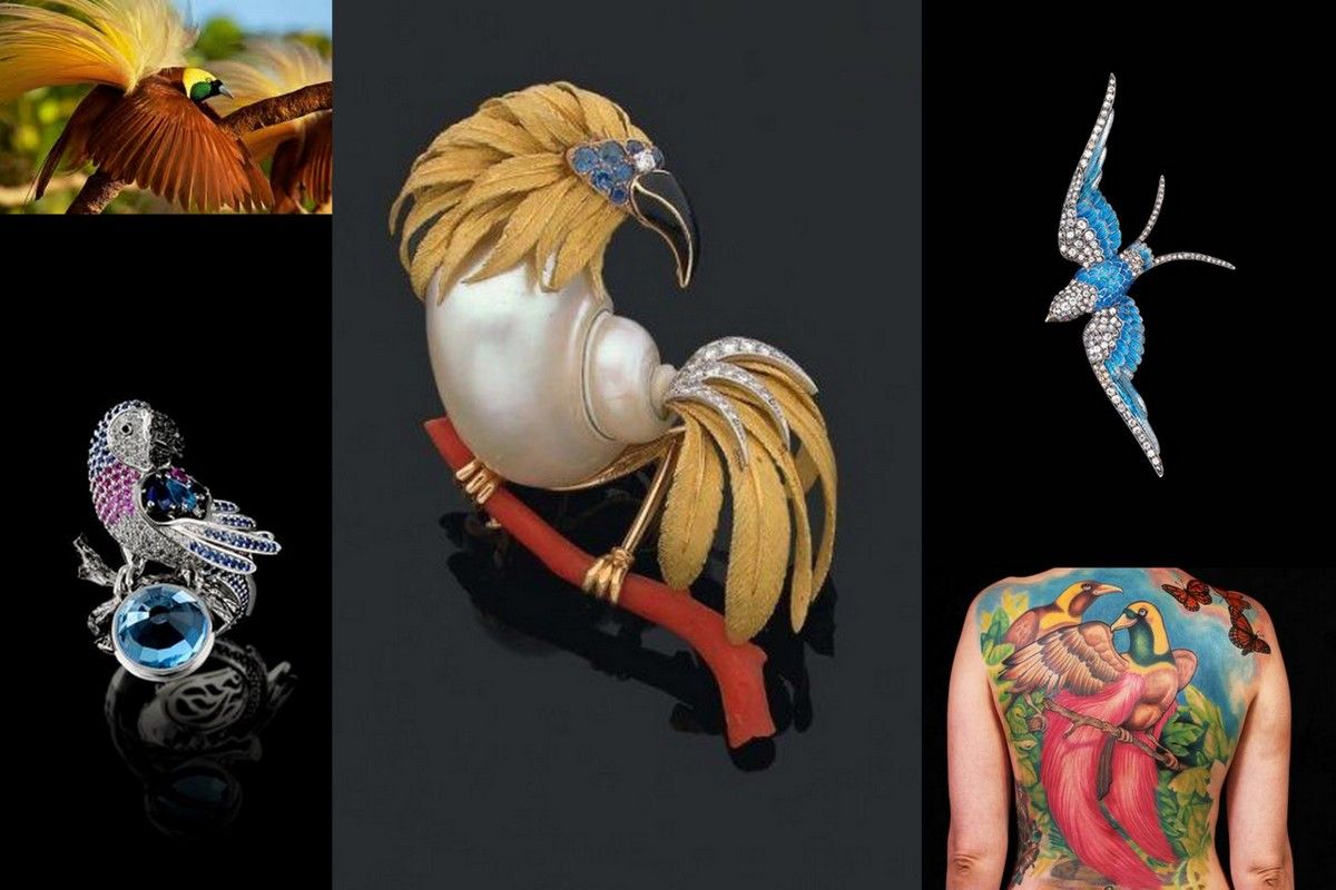Bird jewelry-tattoo gold blue paradise bird