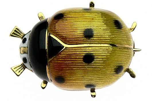 Diamoro ladybird