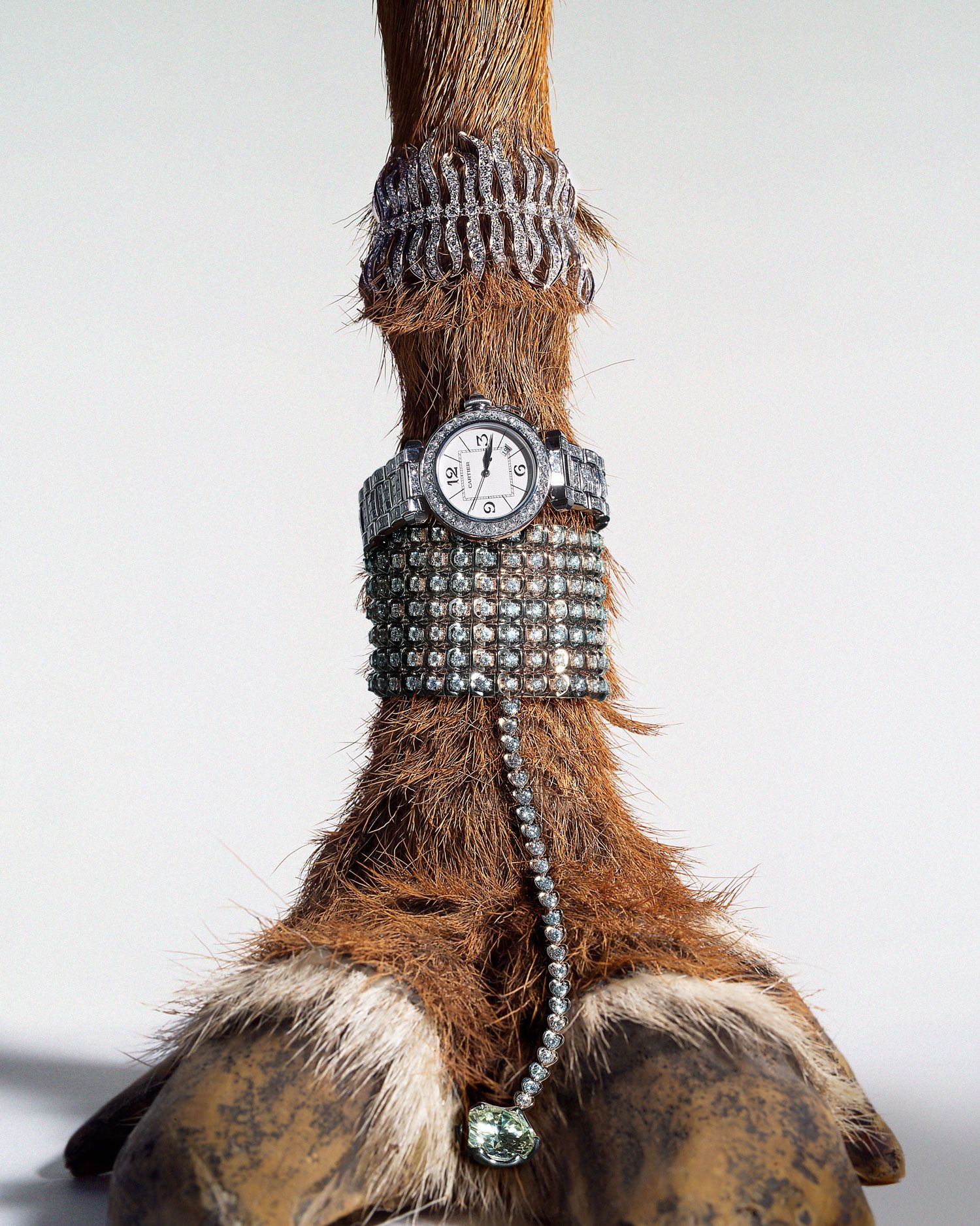 torkil gudnason animal jewelry lama