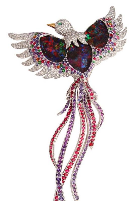 Marchak Paradise bird