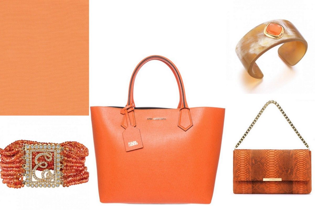 Trend colors 2015 orange jewelry bag