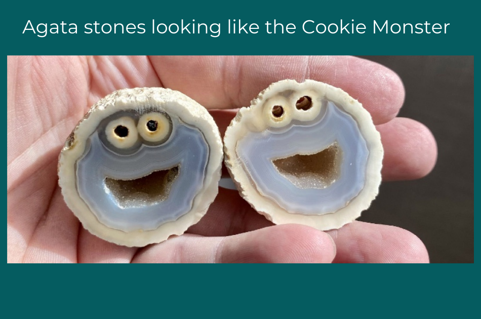 Rare rocks that look like...Cookie Monster!