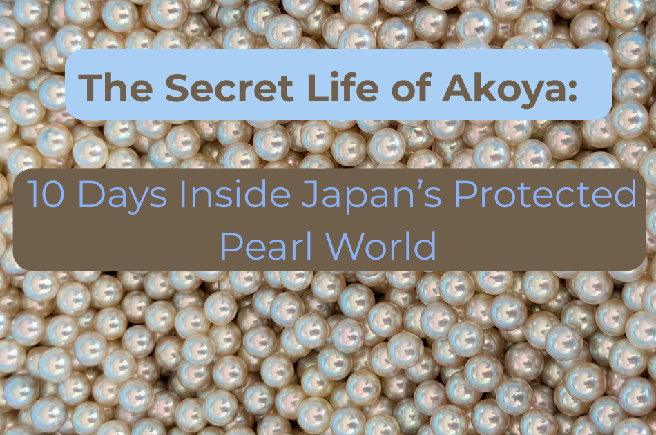 The Secret Life of Akoya: 10 Days Inside Japan’s Protected Pearl World The Secret Life of Akoya: 10 Days Inside Japan’s Protected Pearl World