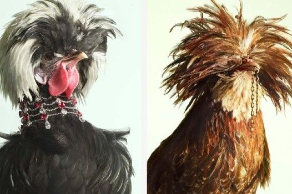 Russian lady hides her jewelry in a roast chicken